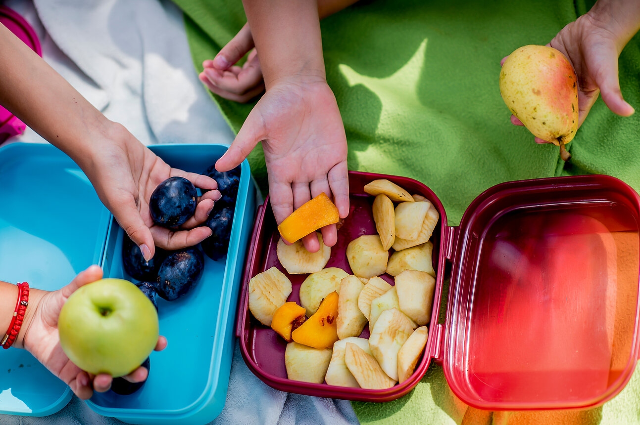 The Best Lunchboxes for this Back-to-School Season 2023!