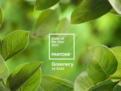 Pantone Greenery Color of the Year 2017