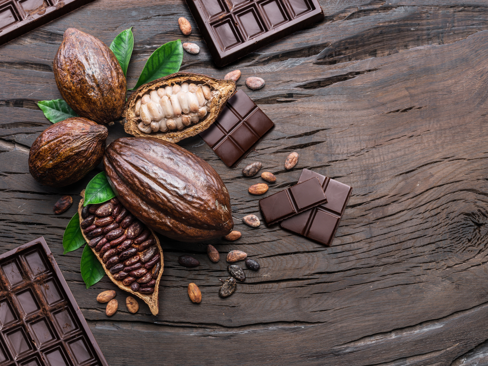 NPD Trend Tracker: From Cocoa Fruit Chocolate To Turmeric Cordial: Symrise  In-Sight